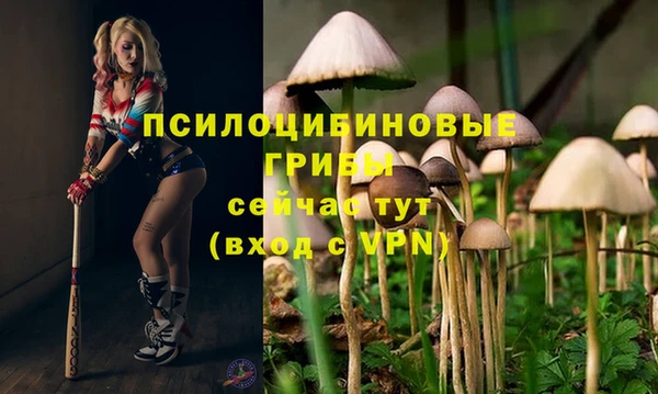 дистиллят марихуана Богданович