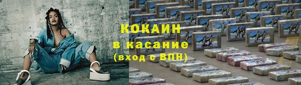 mdpv Богородицк